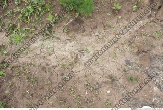 ground soil overgrown 0008